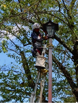 臥竜公園の電気設備点検・灯具清掃のイメージ