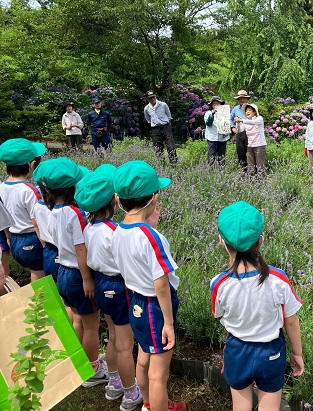 ラベンダー花摘み体験のイメージ