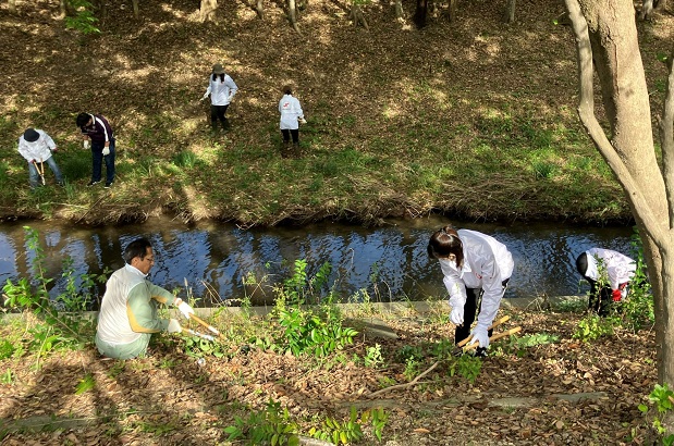 朝倉川植樹メンテナンス大会のイメージ