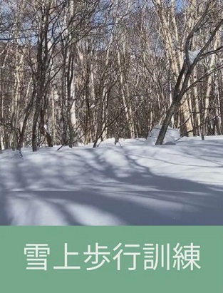 雪上歩行訓練のイメージ