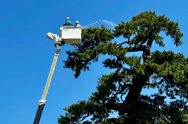 市指定文化財の保全に協力のイメージ