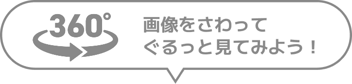 画像をさわってぐるっと見てみよう！