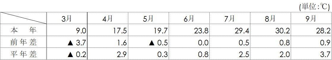 平均気温（名古屋）表画像