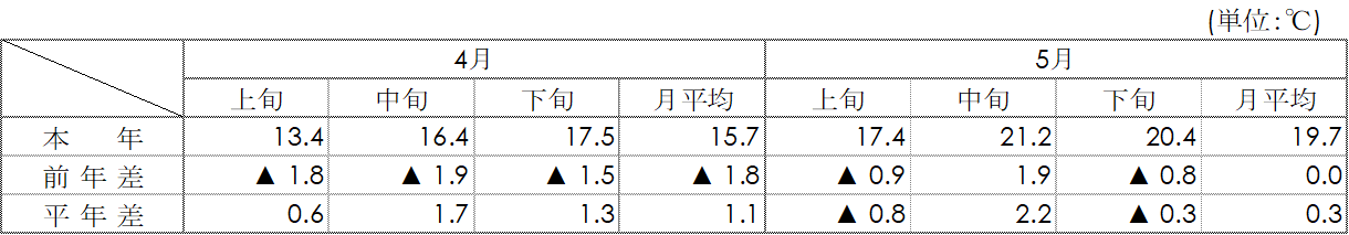 平均気温（名古屋）表画像